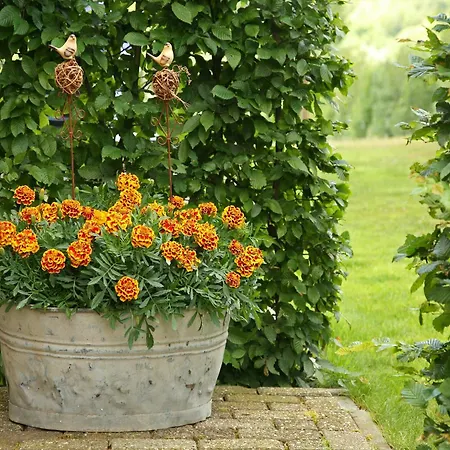 With Garden Views, Cleaning Included